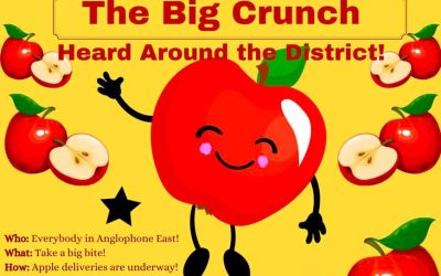 the Big Crunch | Anglophone East School District