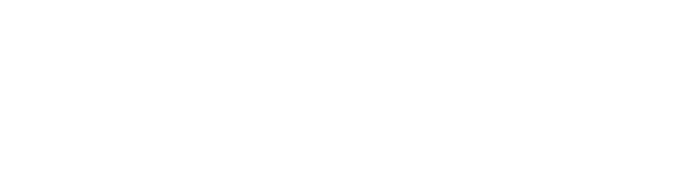 logoFichier 2VCSENB-White