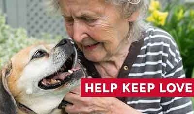 VOLUNTEER OPPORTUNITY | ElderDog Canada Moncton Pawd&rsquo;s