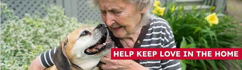 Image of Elder dog and senior women